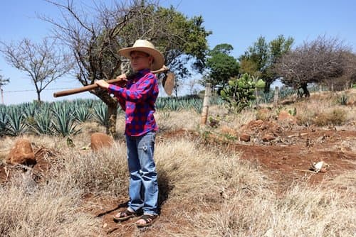 "Parrandeando" es el nuevo video de Los Tucanes de Tijuana. La historia del clip inicia cuando un pequeño sale de su pueblo en busca del llamado 'Sueño americano' y al llegar a Estados Unidos se esfuerza por ser alguien en la vida...