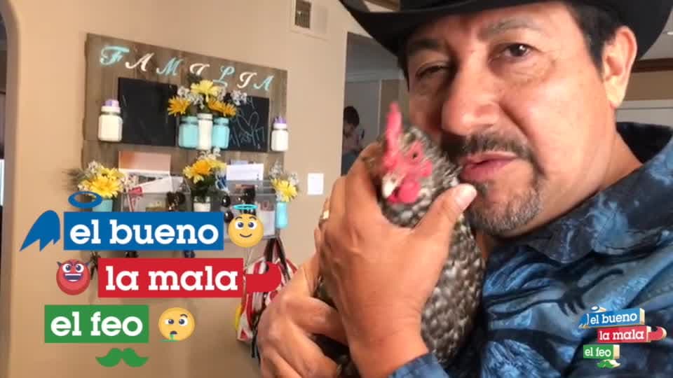 La Gallina Vidente ya tiene su favorito para la semifinal de la Confederaciones