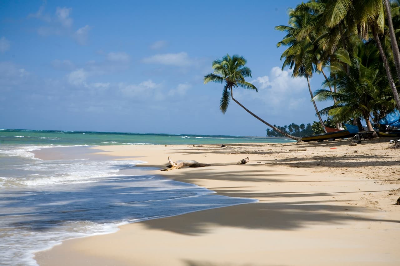 Conversamos con el Congresista Espaillat antes de partir hacia la República Dominicana