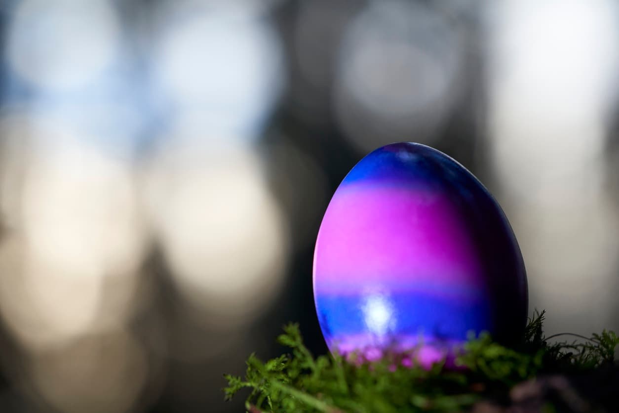 <b>Evento</b>: Mordecai Egg Hunt
<br>
<b>Fecha</b>: 24 de marzo
<br>
<b>Lugar</b>: Mordecai Historic Park. 1 Mimosa St. Raleigh, NC
<br>
<b>Sitio web</b>: 
<a href="https://raleighnc.gov/parks/news/rescheduled-mordecai-egg-hunt">https://raleighnc.gov/parks/news/rescheduled-mordecai-egg-hunt</a> 
<br>
<br>La búsqueda de huevos comienza a las 2 p.m. Ven antes y quédate después para manualidades, juegos y más. Este es un evento gratuito y no es necesario registrarse.