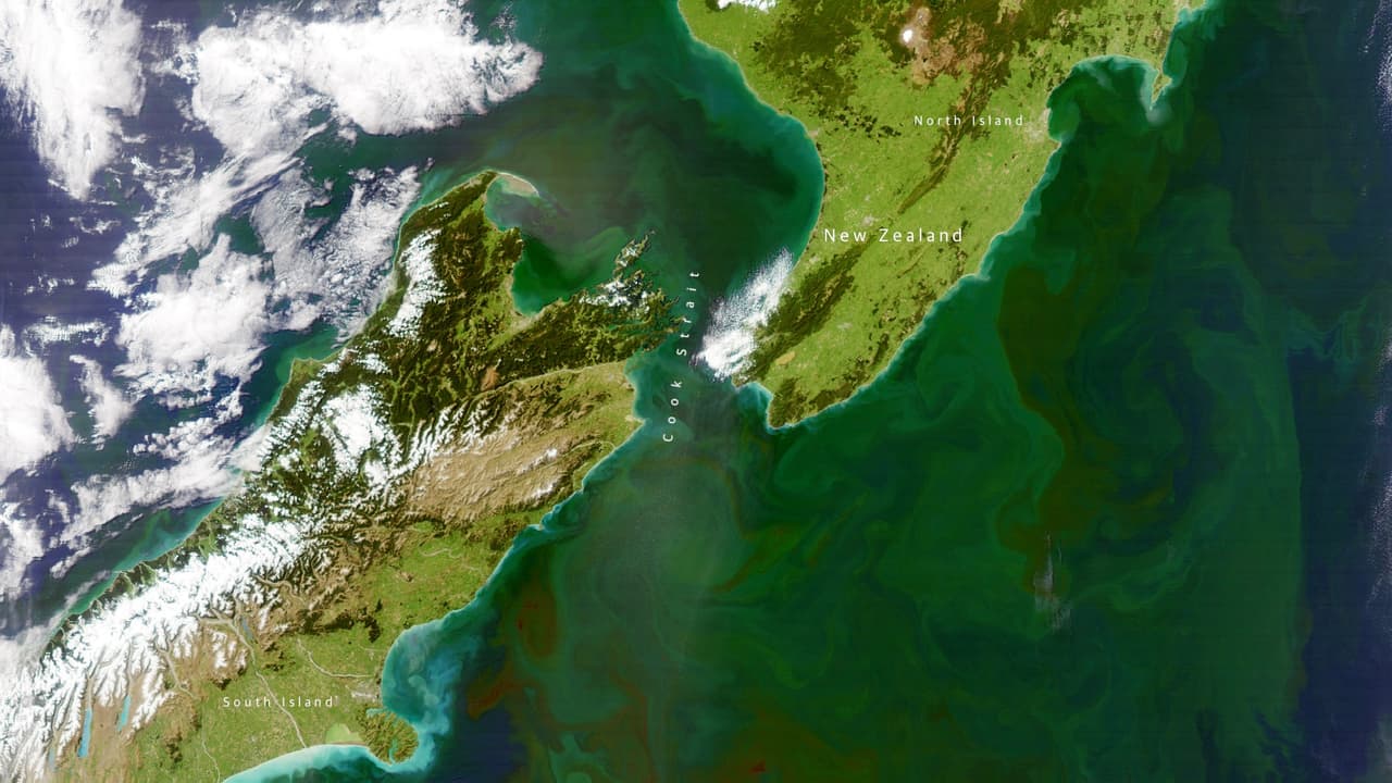 Por qué los océanos están cambiando de color y qué significa para el futuro del planeta 