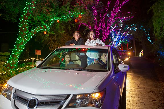 Por primera vez en la historia del zoológico de Phoenix, arizonenses pueden disfrutar de este evento desde la comodidad de su auto.
<br>