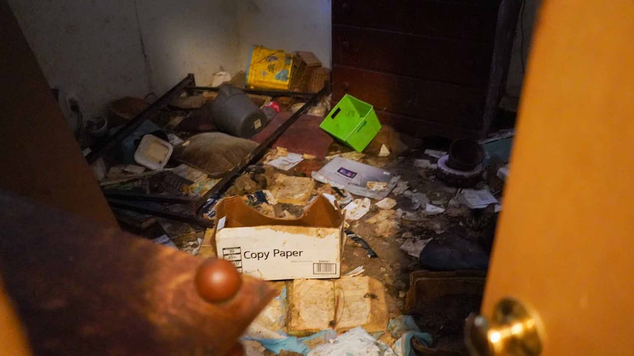 Al llegar a la vivienda las autoridades encontraron a los animales viviendo entre desechos y basura.