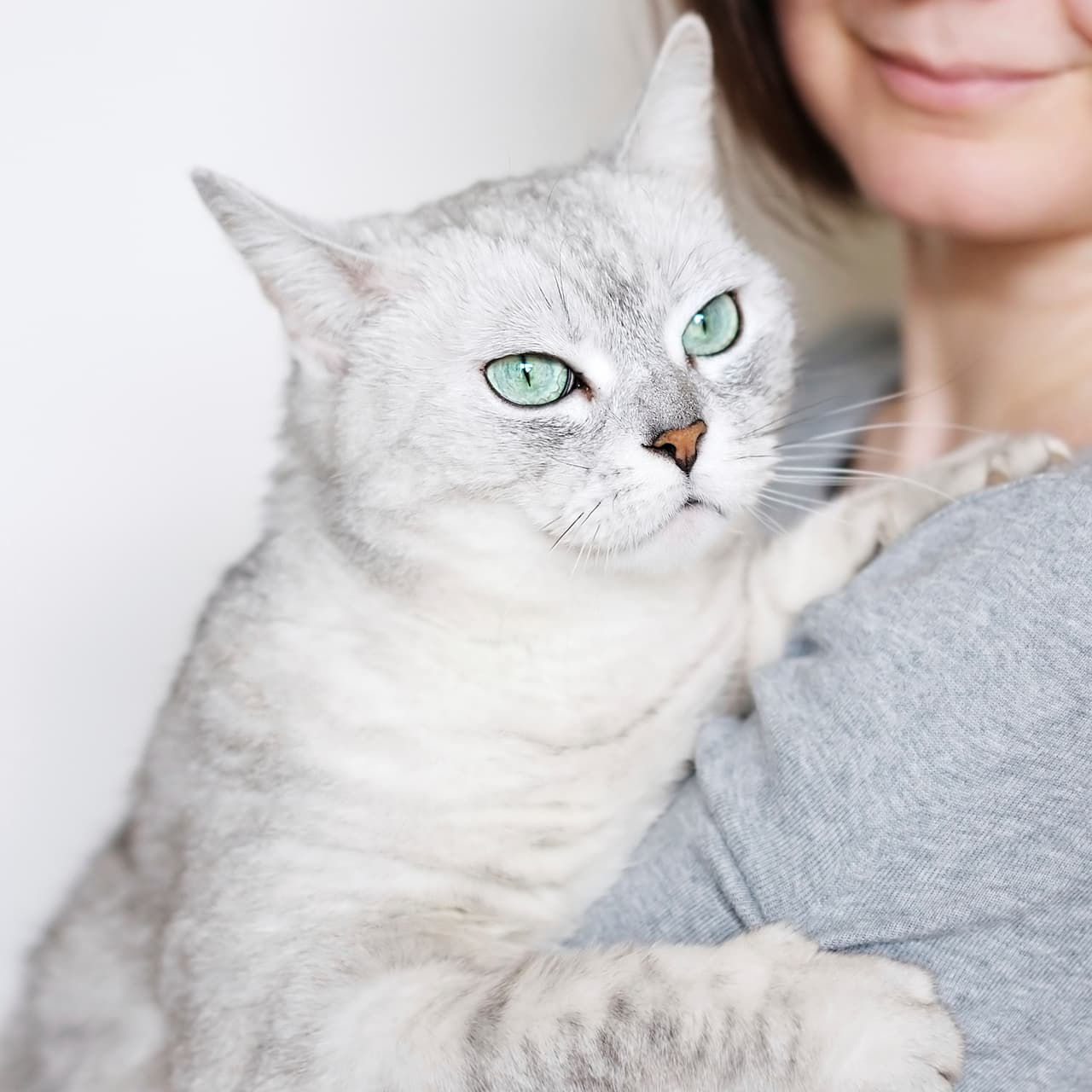 Esto debido a que tú debes ganarte el corazón, y no al revés.