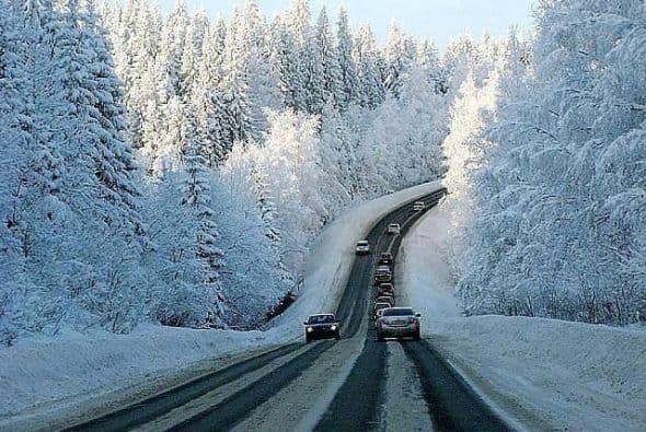 Una impresionante imagen de árboles totalmente cubiertos por la nieve en Philadelphia, fue la que nos envió Erwin Caal