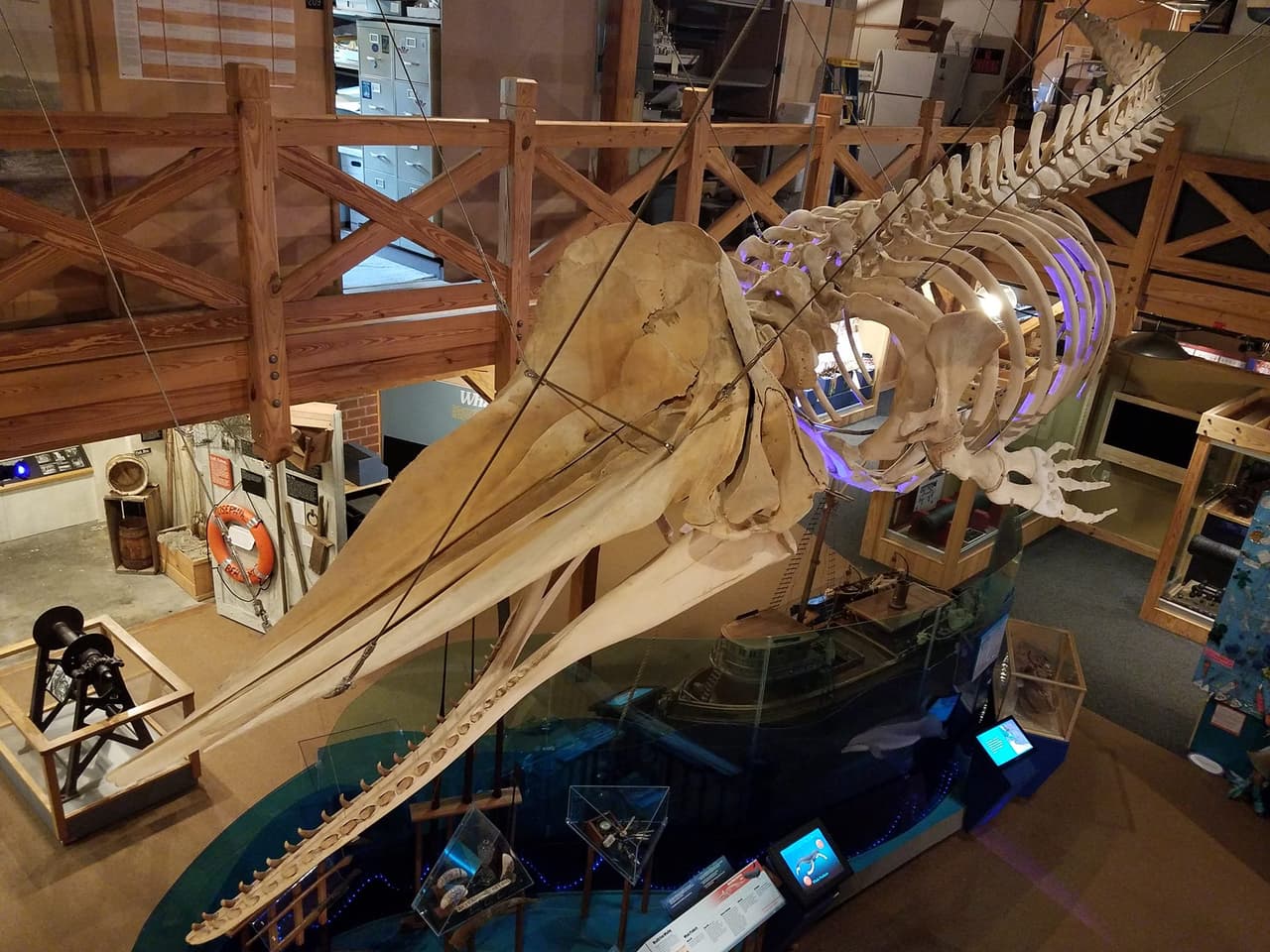 Simplemente únicos: los museos que solo encontrarás en Carolina del Norte