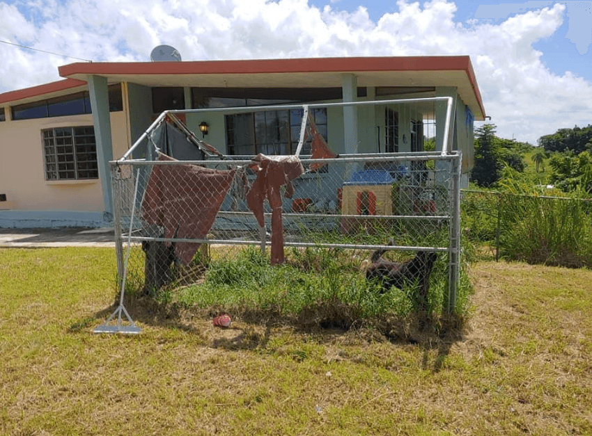 Surge de la investigación que los perros eran de una pareja separada, por lo que el hombre no se acercaba a la residencia por temor a una Ley 54.