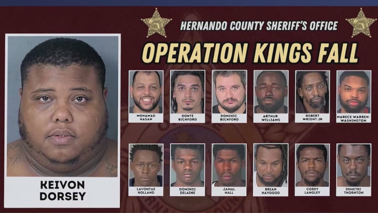 Desmantelan red de drogas, apuestas y armas ligada a una tienda en Brooksville