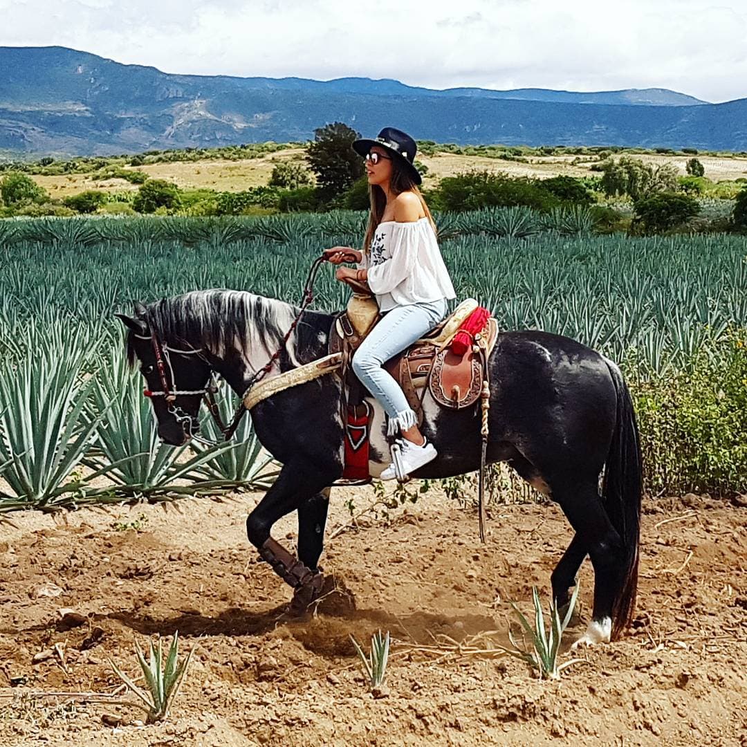 Desde luego, la capitana también ha recorrido varios lugares de México, como Oaxaca.