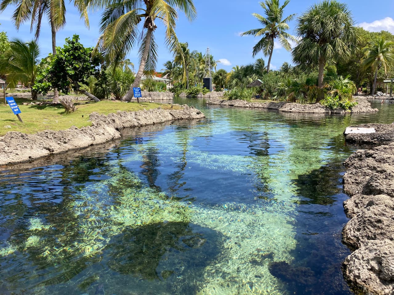 <h2 class="cms-H2-H2">8. Gran Caimán, Islas Caimán</h2>
<br>
<br>La isla más grande de las Caimán, en el mar Caribe, ofrece atracciones espectaculares para los amantes de la naturaleza. 
<br>
<br>Sus principales atracciones incluyen un tour de snorkel nocturno y la oportunidad de nadar rodeado de criaturas marinas en la llamada Stingray City, que en realidad es una franja de arena situada en el lugar. 
<br>