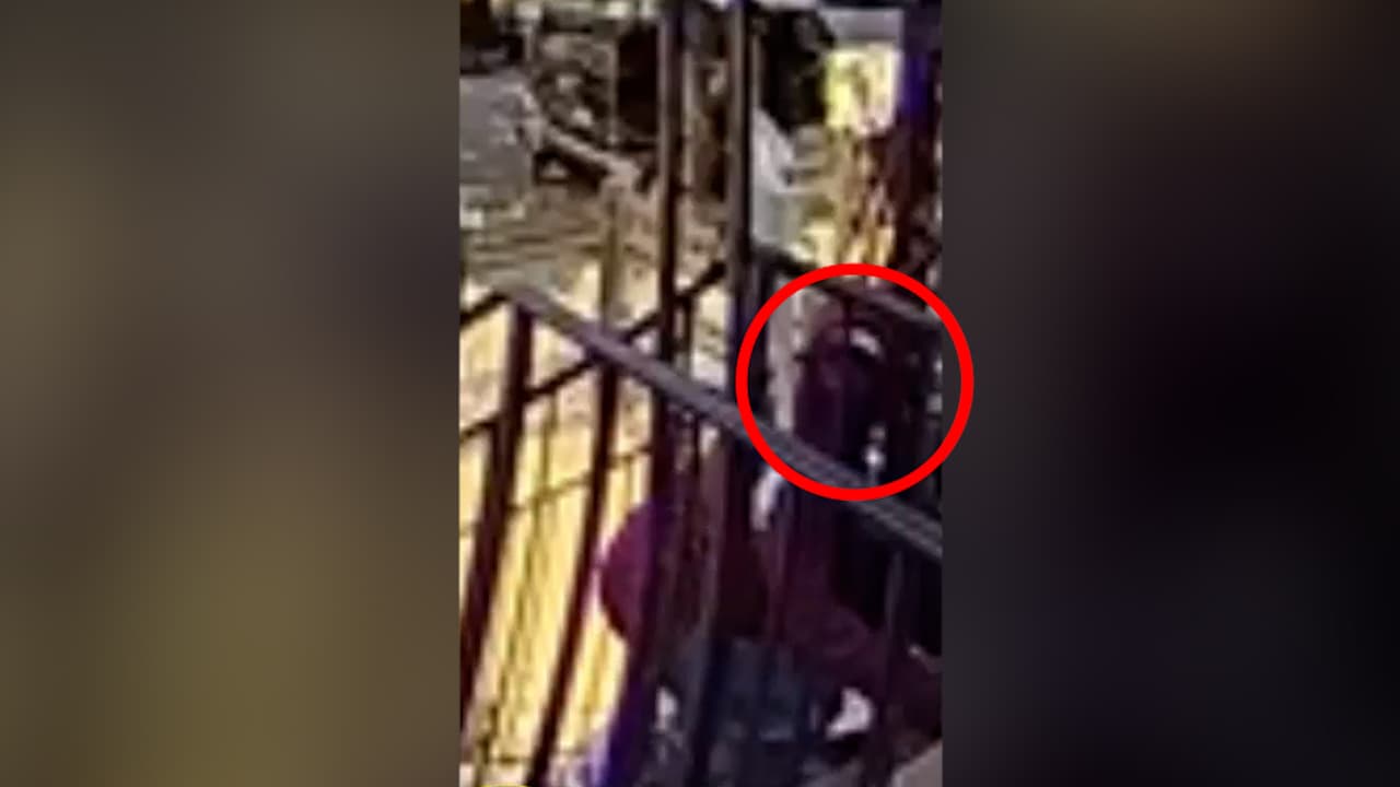 Violan y roban $3 dólares a una mujer tras salir de su casa en El Bronx