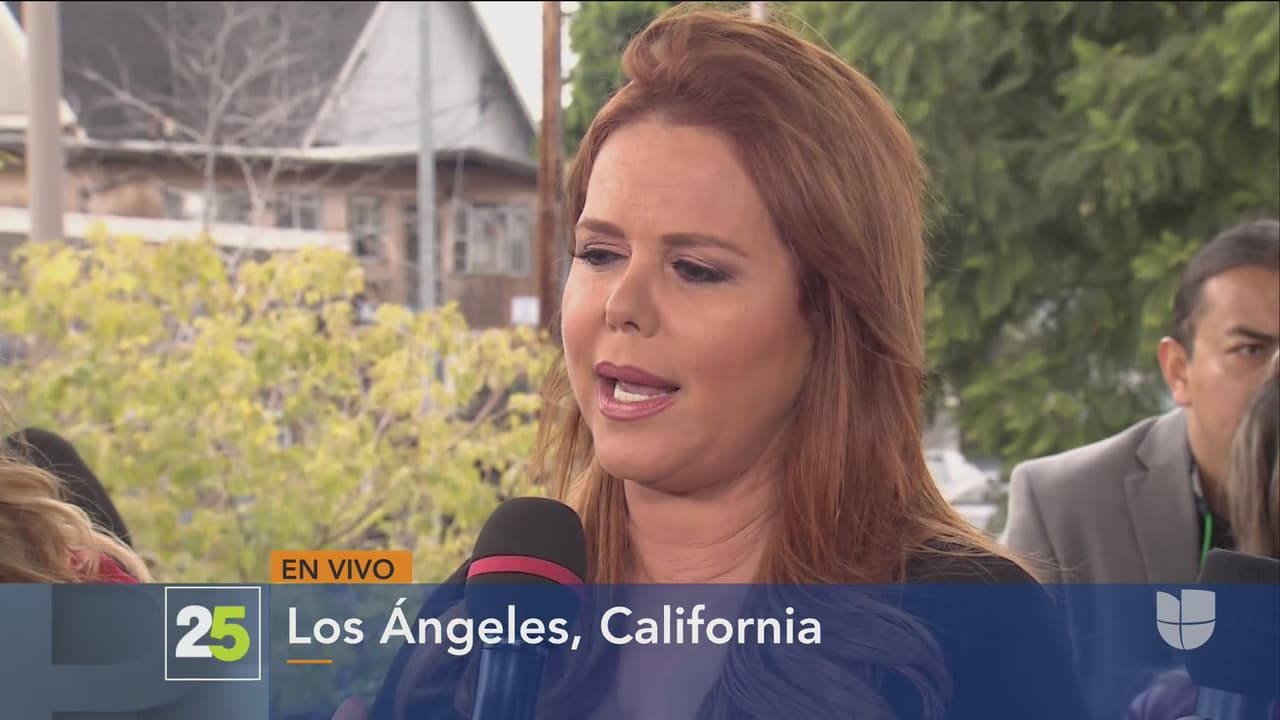 "Feliz de que ustedes estén con nosotros en este histórico día, feliz de que mi casa Telemundo me haya dado permiso por un día de compartirme. ¿Quién iba a decir que íbamos a estar aquí un cuarto de siglo después?", dijo Arrarás en el show.