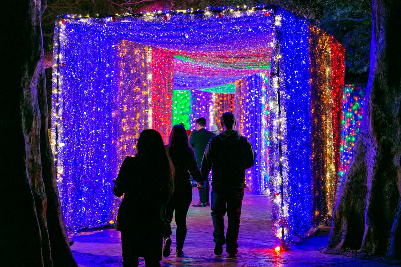 Prepara tu cámara o tu teléfono para tomar fotos en el túnel con la familia. Es uno de los puntos más atractivos para "Instagram Moments".
