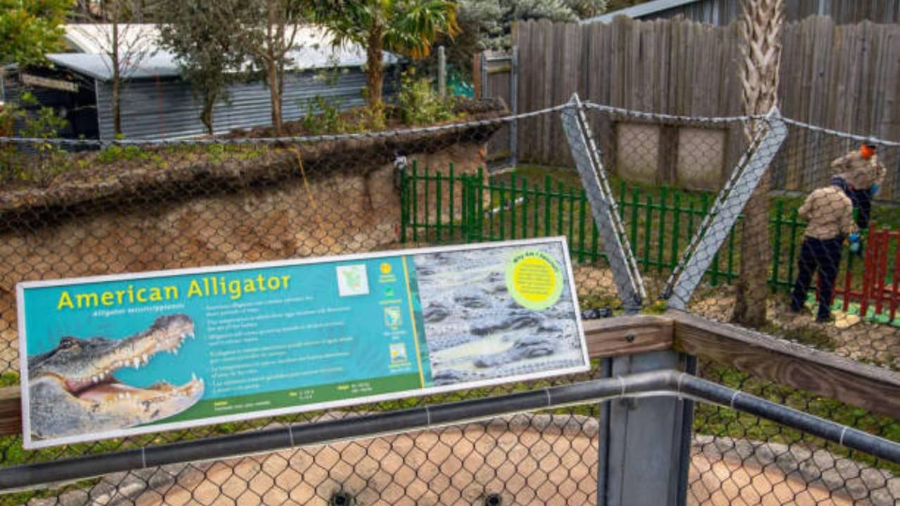 Zoológico de Miami cierra por segundo día tras nueva amenaza de bomba