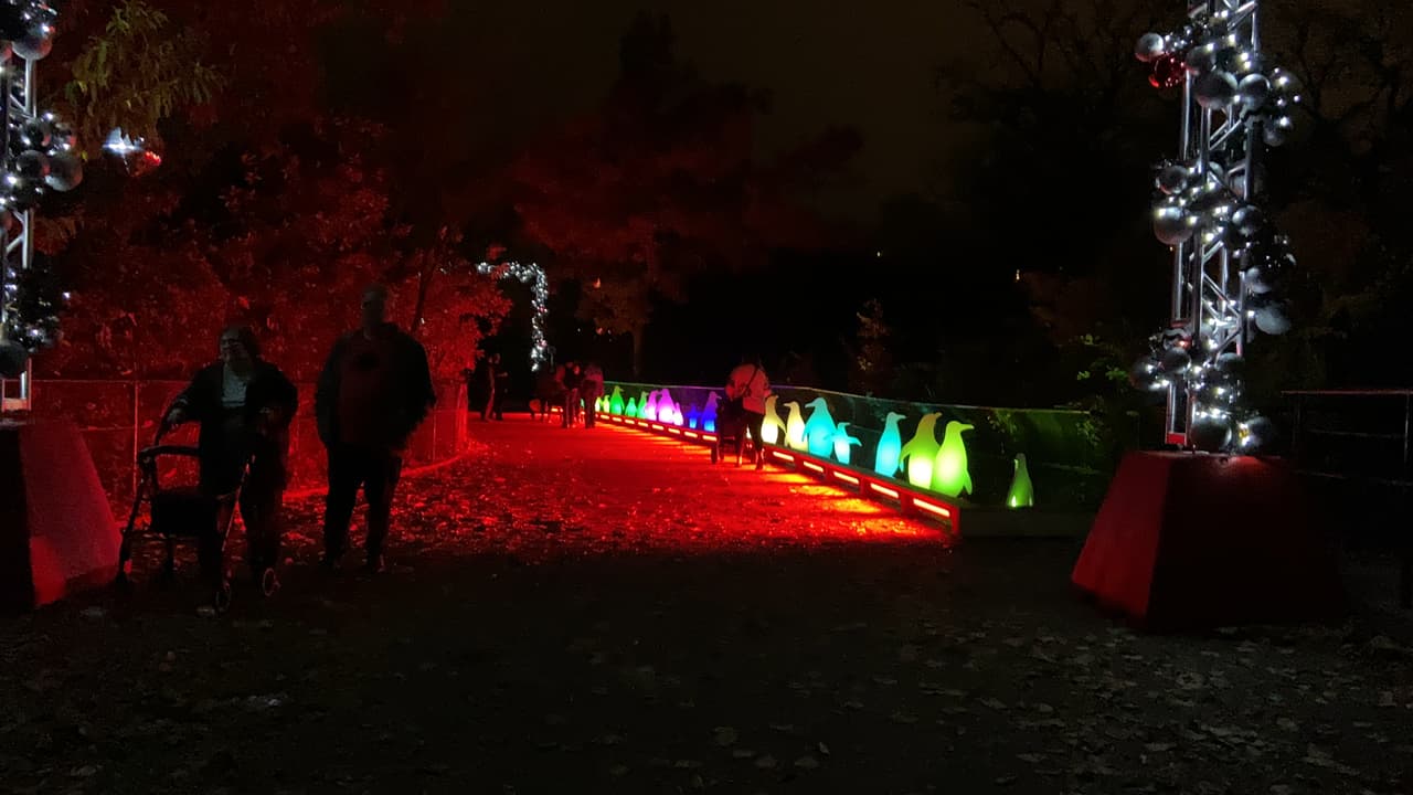 LumiNature es un evento nocturno que se desarrolla a partir de las 5:30 p.m. hasta las 8:30 p.m. cada noche hasta el 9 de enero.