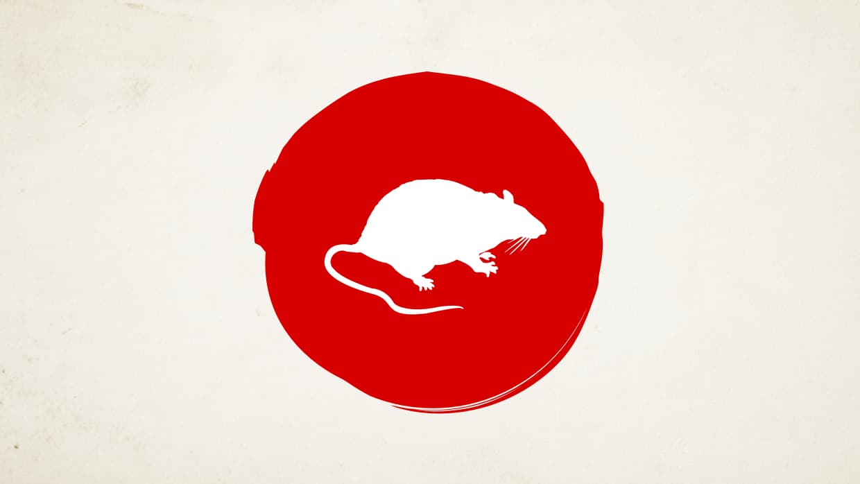 <b>La Rata en el Año del Gallo de Fuego (Los nacidos en 1936, 1948, 1960, 1972, 1984, 1996, 2008)</b>
<br>
<b>Un período excitante de diversión, vacaciones, entretenimiento</b>
<br>Con el inicio de un ciclo muy intenso dentro de tu horóscopo basado en la naturaleza de tu signo al combinarse con el elemento fuego. Tú eres el primer signo del zodiaco chino y tu nombre es SHU. Es muy posible que te enfrentes a una situación sentimental algo complicada relacionada con alguien que hace mucho no ves y que ahora resurge en tu vida con ideas de romance y amor que verdaderamente ni te interesan ni te convienen en absoluto. Mantén mucha atención a tu correo, tus mensajes de texto, tus llamadas telefónicas porque en ellas habrá muy gratas sorpresas para ti. El año del Gallo de Fuego augura diversión, fiestas, celebraciones y vacaciones inolvidables. Un período muy excitante para la Rata
<br>