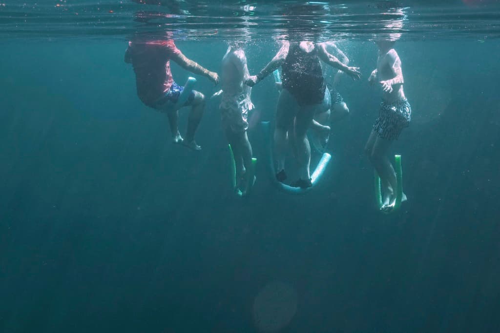 Solo 4 manantiales de Florida siguen limpios: la mayoría está contaminada y en riesgo