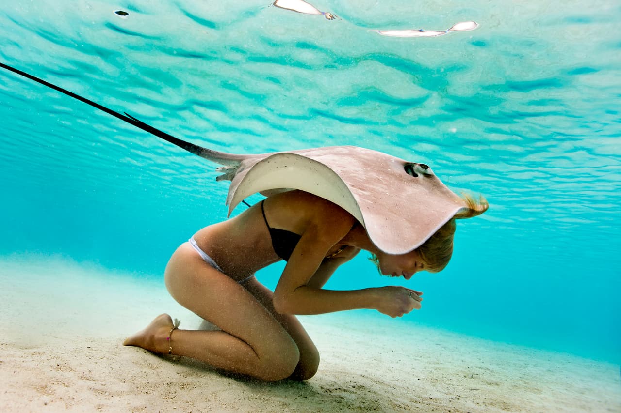 Una muestra más de que los animales y los humanos pueden compartir el mundo.