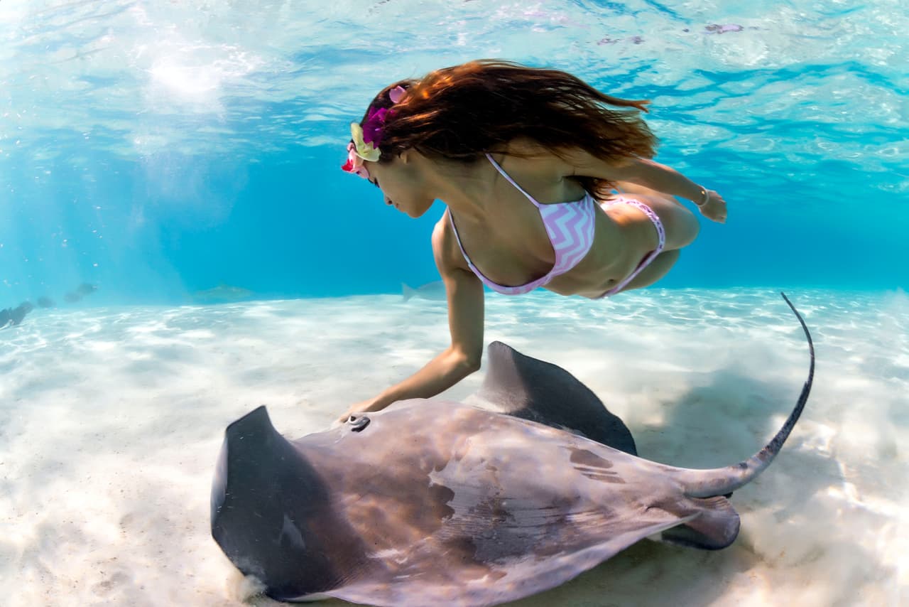 En general, no es mortal para los humanos, aunque sí provoca mucho dolor y malestar.