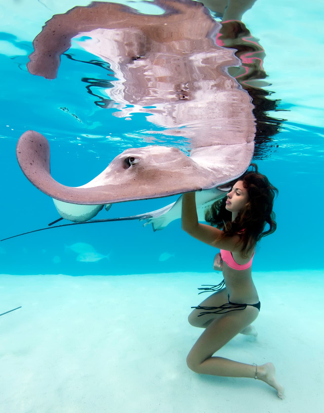 Se dejó tocar y nunca hubo un momento de peligro.