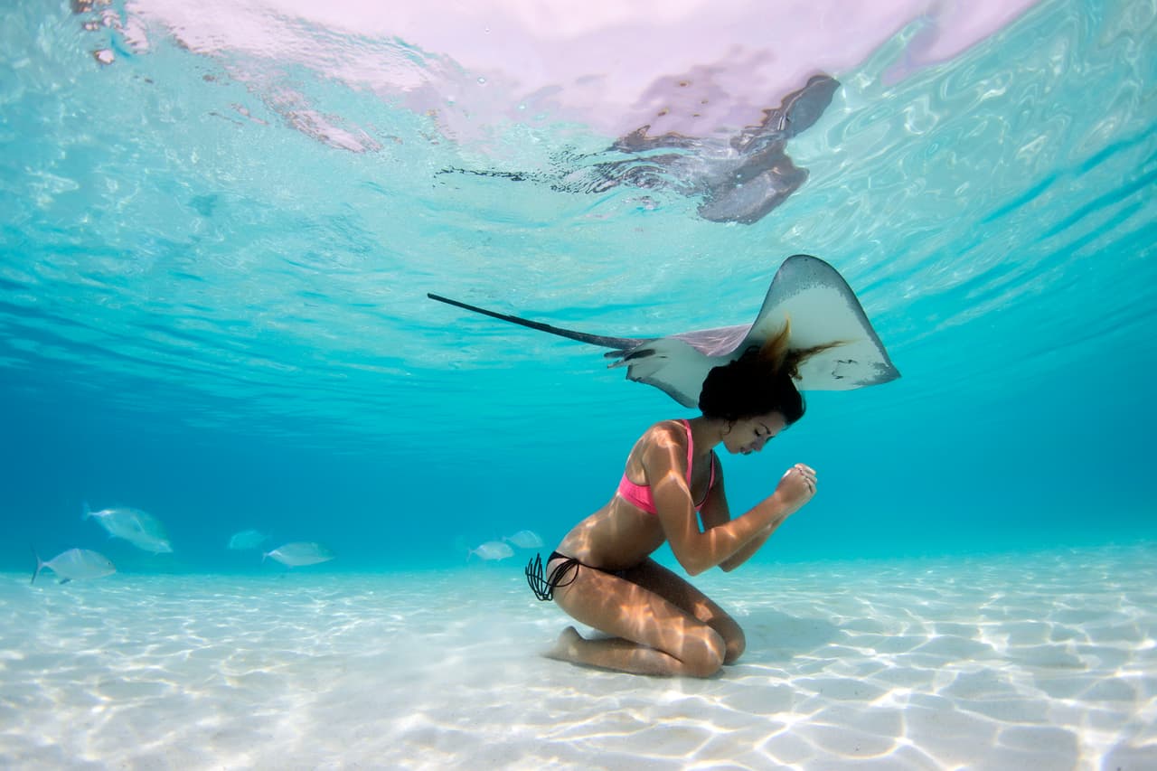 Gracias a la buena organización y disposición se pueden lograr imágenes de este tipo.