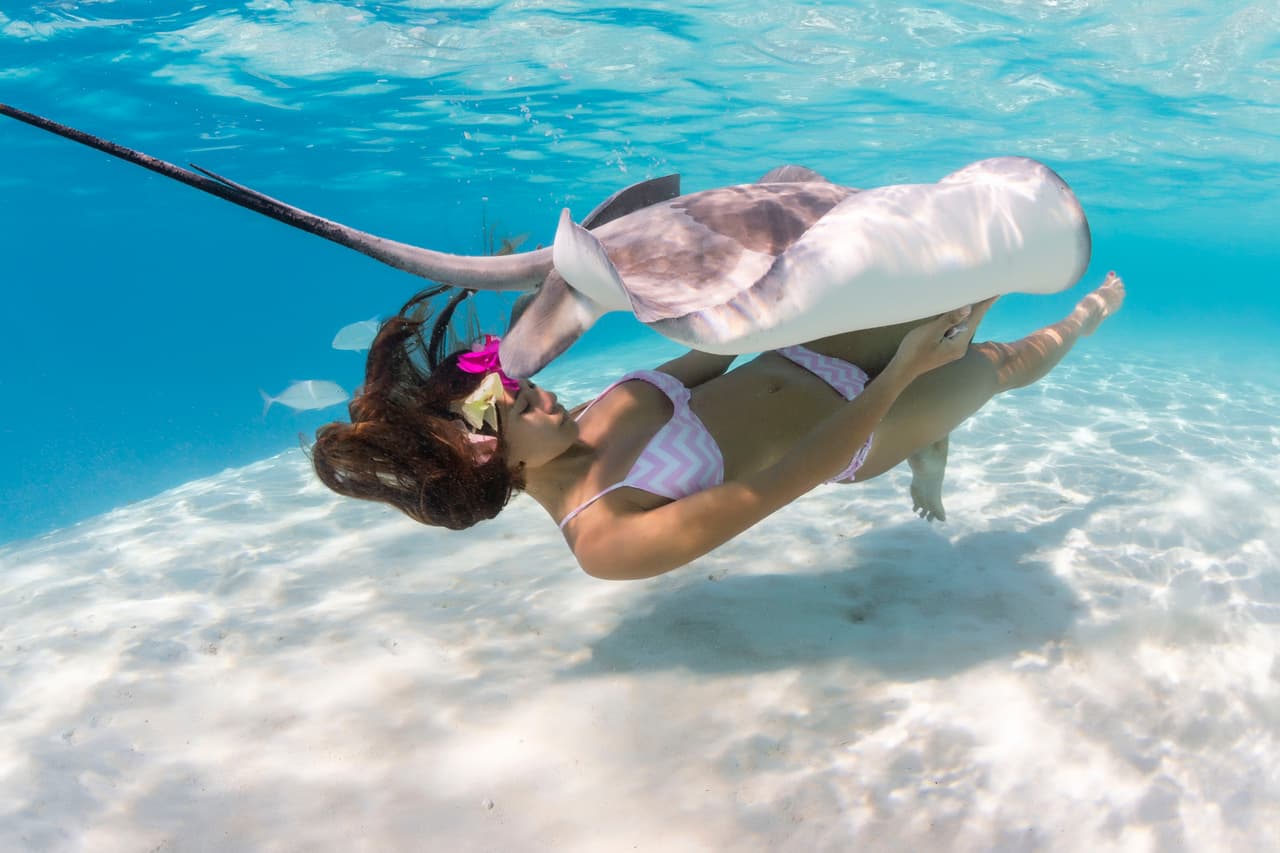 Por esta razón es que nadar con una raya requiere valor, ¡y gran talento, pues además se tiene que posar bajo el agua!