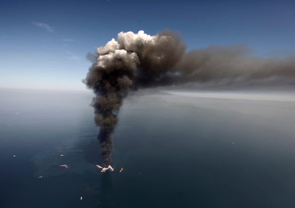 Un estudio revela que la vida marina disminuyó drásticamente en el Golfo en los años posteriores al derrame de petróleo de BP