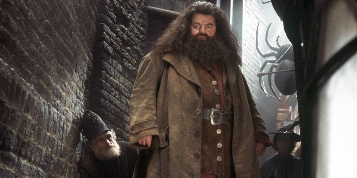 Robin Williams casi interpretó a Hagrid, pero la escritora pidió que sólo actores británicos interpretaran a sus personajes.