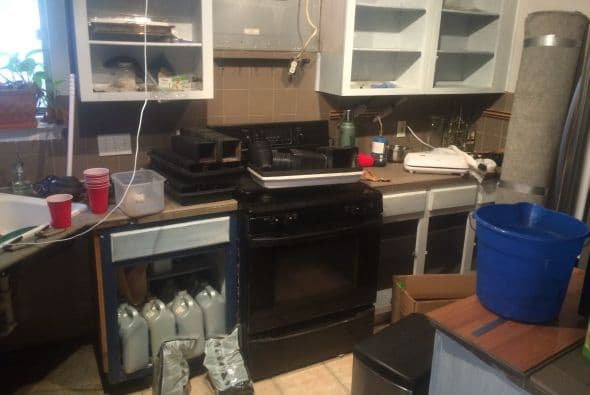 La Policía de Austin desmanteló este martes una casa al sur de Austin en donde fueron encontradas más de 400 plantas de marihuana. La residencia se ubicaba en el número 3702 de la calle Alexandria Drive entre las calles William Cannon Drive y Davis Lane.