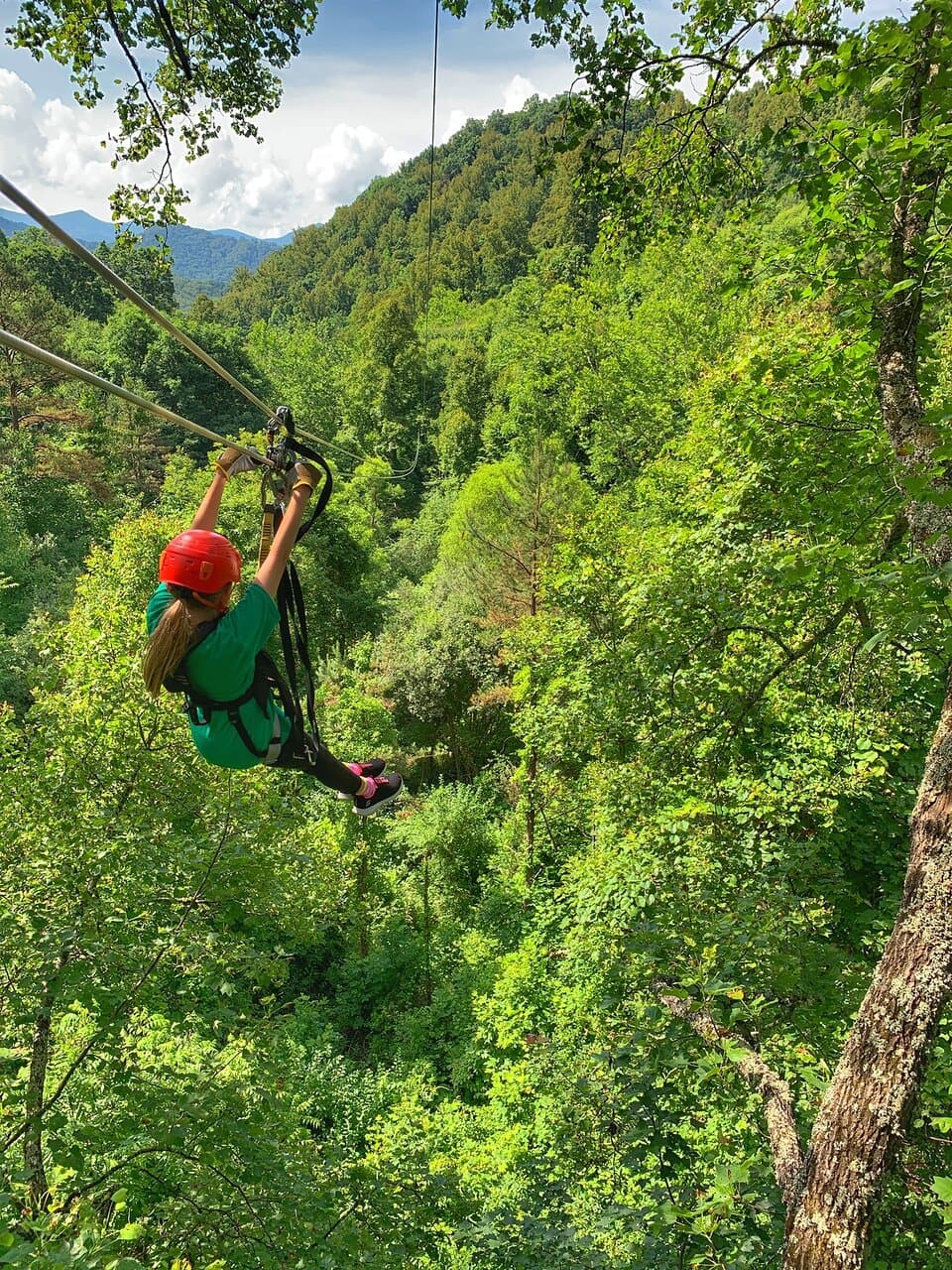 <b><a href="https://navitat.com/asheville-nc/">Navitat Canopy Adventures - Asheville Zipline</a></b>. Navitat Asheville presenta dos aventuras basadas en árboles de clase mundial. El Treetop Tour es una aventura inmersiva y emocionante que viaja de copa en copa e incluye seis Zip Lines, un puente aéreo, un rappel y tres caminatas panorámicas cortas.
<br>
<br>
<b><a href="https://g.page/navitat-canopy-adventures?share">Cómo llegar</a></b>