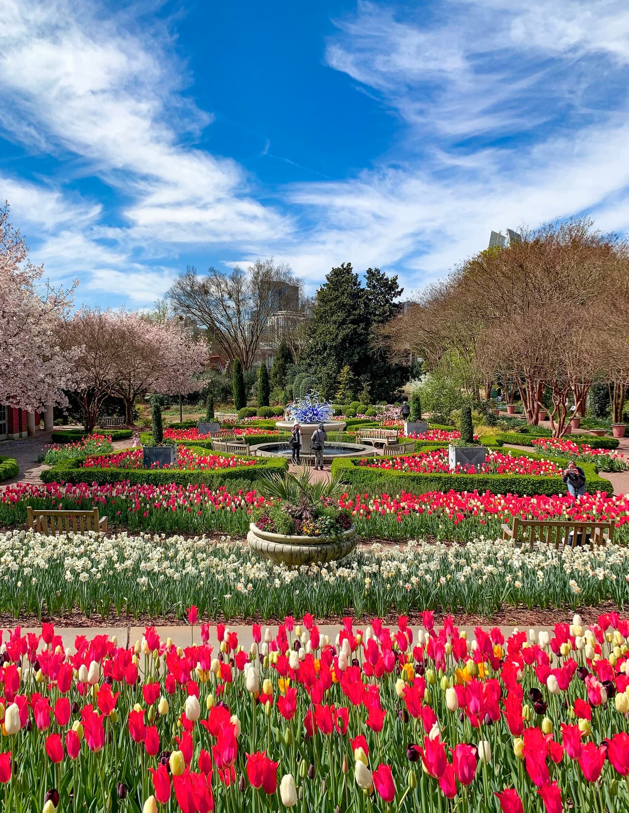 <b>Atlanta Botanical Garden</b>
<br>
<b>Sitio web</b>: 
<a href="https://atlantabg.org/">https://atlantabg.org/</a> 
<br>
<b><a href="https://maps.app.goo.gl/eCSu1Hn9Axtt8GFZA">Cómo llegar</a> </b>
<br>
<br>La primavera cobra vida en Atlanta con miles de tulipanes, narcisos, azafranes y más en el Jardín Botánico de Atlanta ubicado en el corazón de Midtown, junto al Piedmont Park. Pasea y explora hermosas flores durante Orchid Daze, admira a la Diosa de la Tierra y disfruta de praderas de colores vibrantes.
