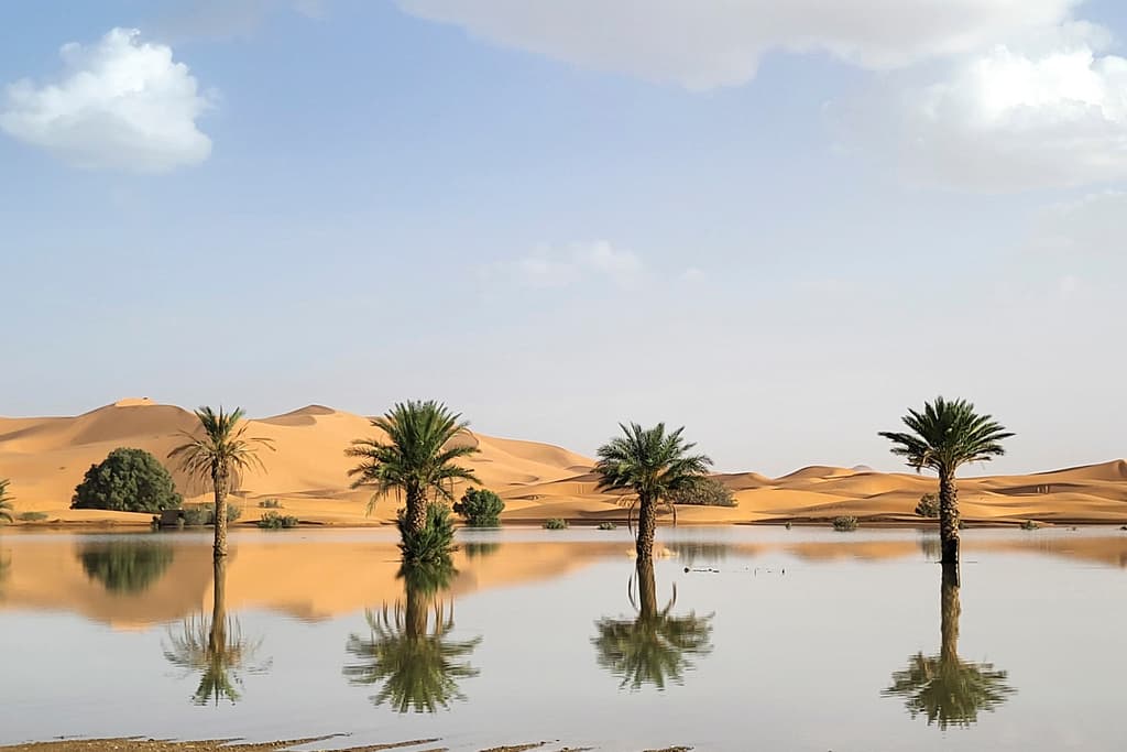 Palmeras reflejadas en un lago formado por aguaceros en la localidad de Merzouga, cerca de Rachidia, en el sureste de Marruecos, el miércoles 2 de octubre de 2024.