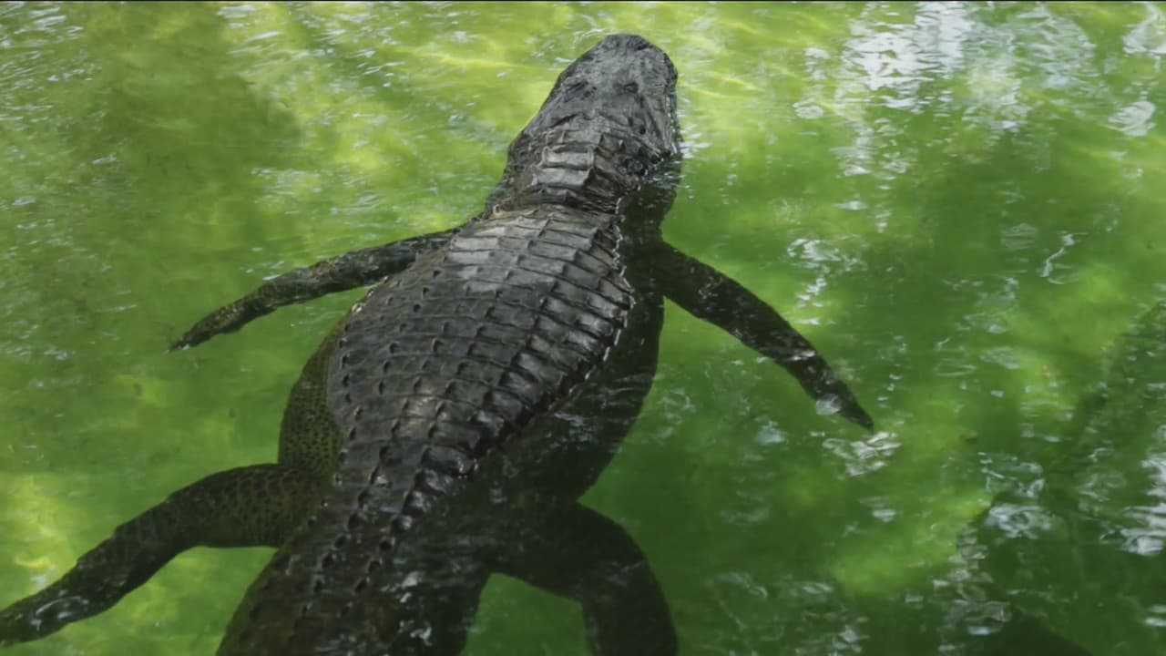 Sin duda fue una aventura llena de adrenalina.