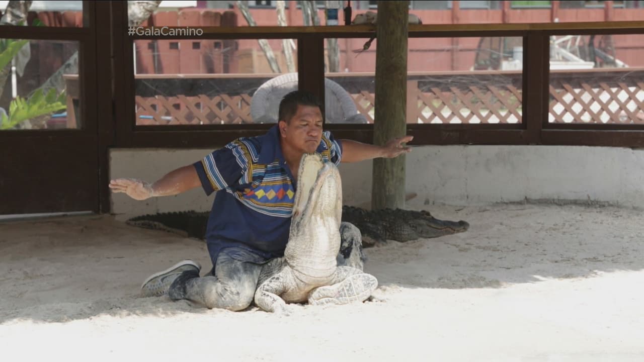 Pero esto es sólo para expertos.