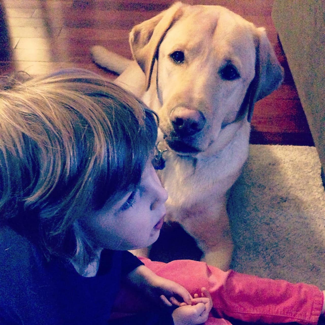 Photos: A Little Girl and Her Service Dog