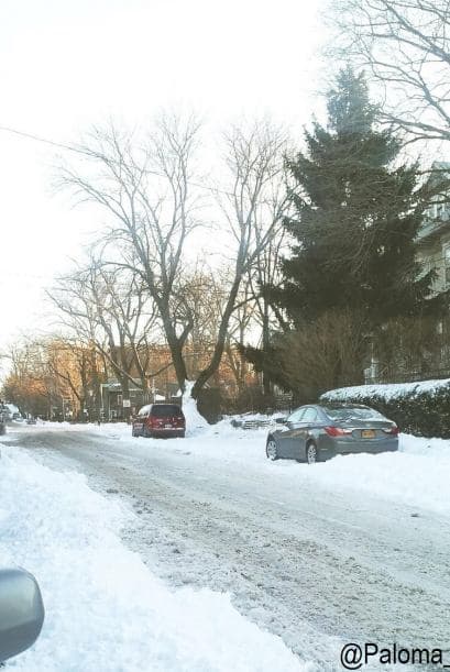 Esta foto es de Paloma Castellanos, en Staten Island, Nueva York, lugar donde las bajas temperaturas azotaron con fuerza.