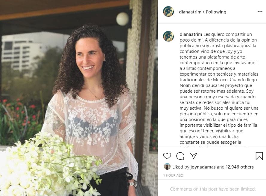 Diana Atri comenzó aclarando su profesión: "A diferencia de la opinión pública 
<b>no soy artista plástica</b>, quizá la confusión vino de que Joy y yo tenemos una plataforma de arte contemporáneo en la que invitábamos a artistas contemporáneos a experimentar con técnicas y materiales tradicionales de México. Cuando llegó Noah decidí pausar el proyecto que puede ser retome más adelante".