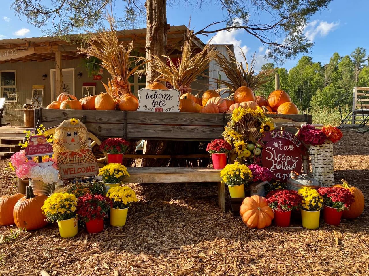 <b>Sleepy Hollow Farm (Powder Springs)</b>
<br>
<b>Sitio web</b>: 
<a href="https://www.sleepyhollowtrees.com/">https://www.sleepyhollowtrees.com/</a> 
<br>
<b><a href="https://maps.app.goo.gl/7iDWG73PtoGS7UxV6">Cómo llegar</a> </b>
<br>
<br>La granja cuenta con paseos en tractor, un laberinto de maíz, una tienda rural, animales de granja y más. Hay muchas actividades para niños y adultos por igual, y es una visita obligada en otoño para muchas familias en el condado de Cobb.