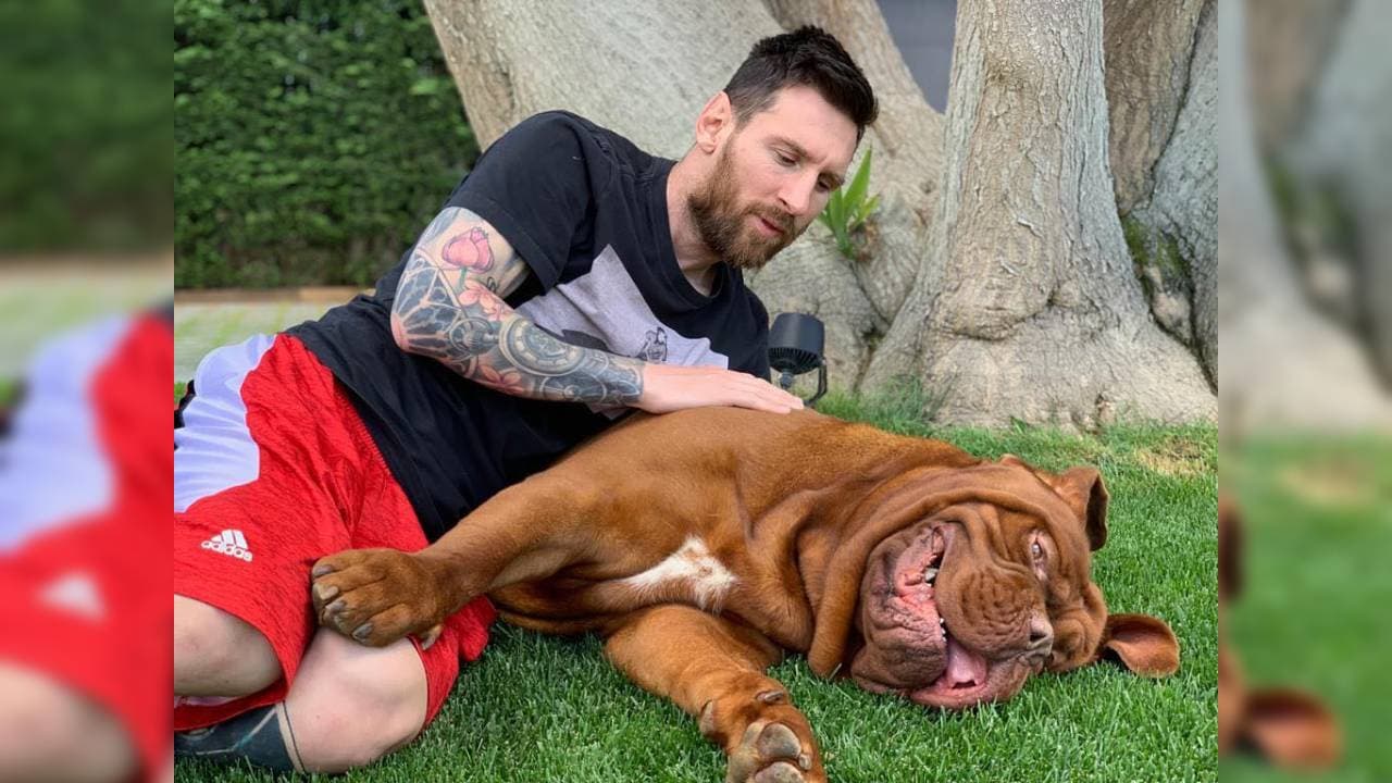Estas son las fieles mascotas de Messi y Neymar | Los astros sudamericanos comparten en redes sociales momentos con sus ‘peludos’ amigos.