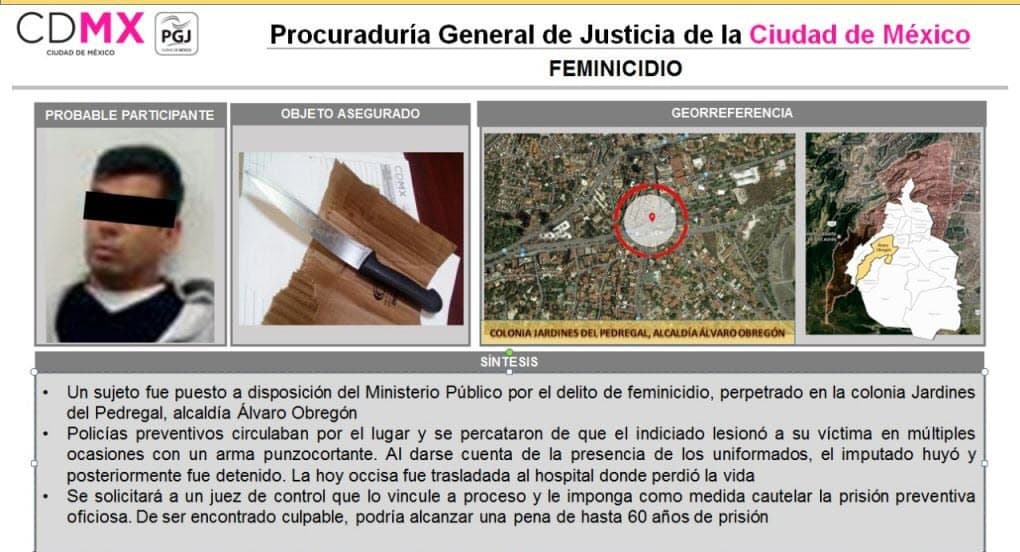 De acuerdo con la ficha informativa emitida por Procuraduría General de Justicia de la Ciudad de México, el hermano de la actriz hirió con un arma punzocortante a su exnovia, quien horas más tarde falleció.