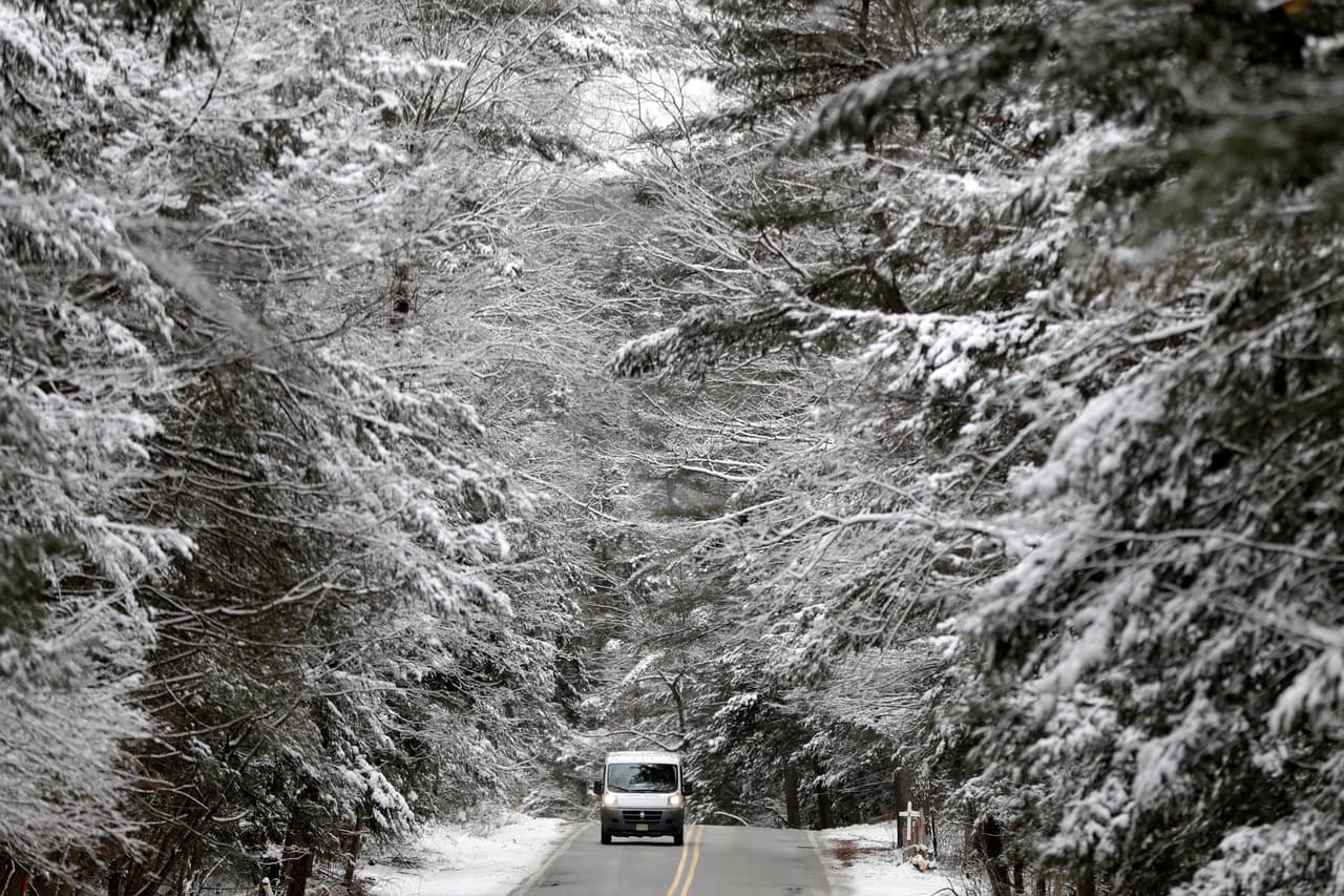 La vegetación cubierta de nieve en una carretera de New Jersey.