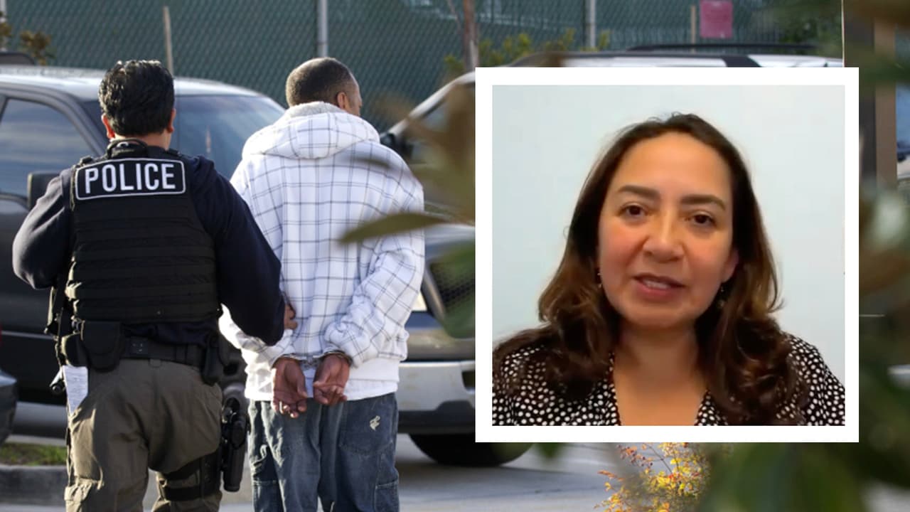 Si a una persona la arrestan por posesión de drogas como la marihuana, sustancias controladas o armas y tiene en proceso algún trámite migratorio es posible que la consideren inadmisible a Estados Unidos y nieguen la 
<b><a href="https://www.univision.com/local/houston-kxln/razones-niegan-residencia-eeuu" target="_blank">residencia,</a></b> advirtió la abogada, Silvia Mintz quien ejerce en el área de Houston.