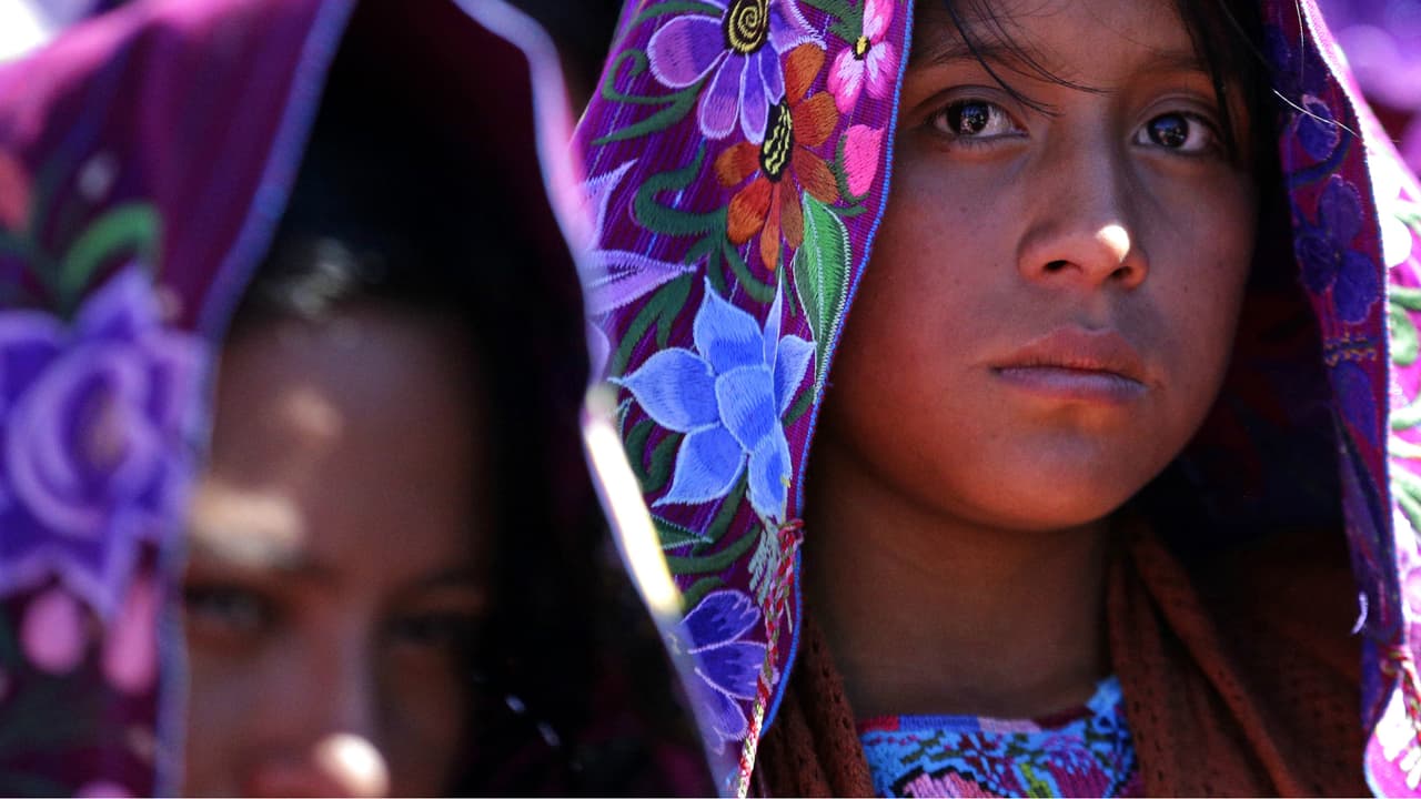 "Nuestros pueblos han sido olvidados y excluídos de nuestra sociedad. Perdón", pidió el Papa Francisco a los indígenas.
