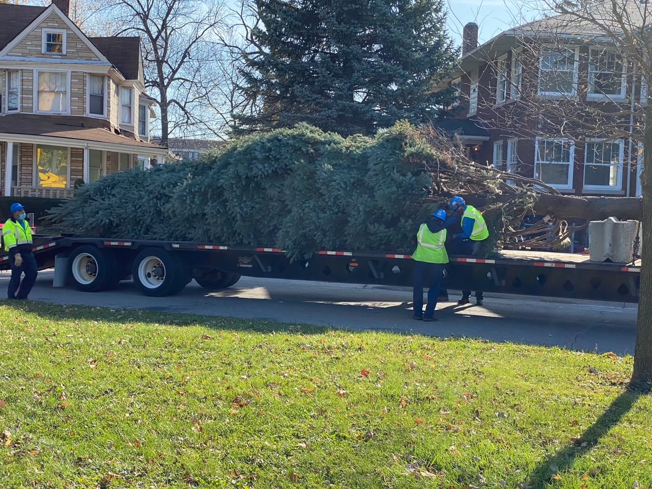 A pesar de los muchos desafíos que trajo 2020, la tradición del árbol de Navidad de Chicago continúa este año.