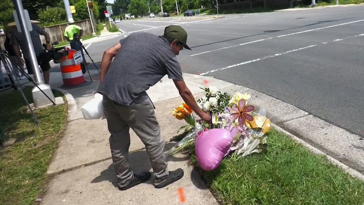 Conductor que atropelló a dos jóvenes hondureñas en Oakton, donde murió una, recibe cargos