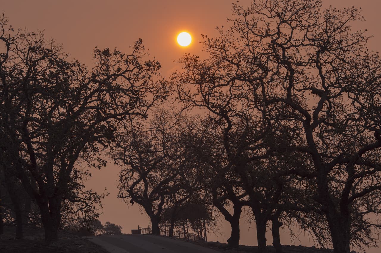 ¿Podría San Francisco llegar a ser tan caluroso como Los Ángeles?
