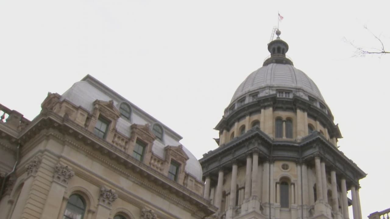 Conoce las leyes más destacadas de Illinois que entran en vigor en 2020