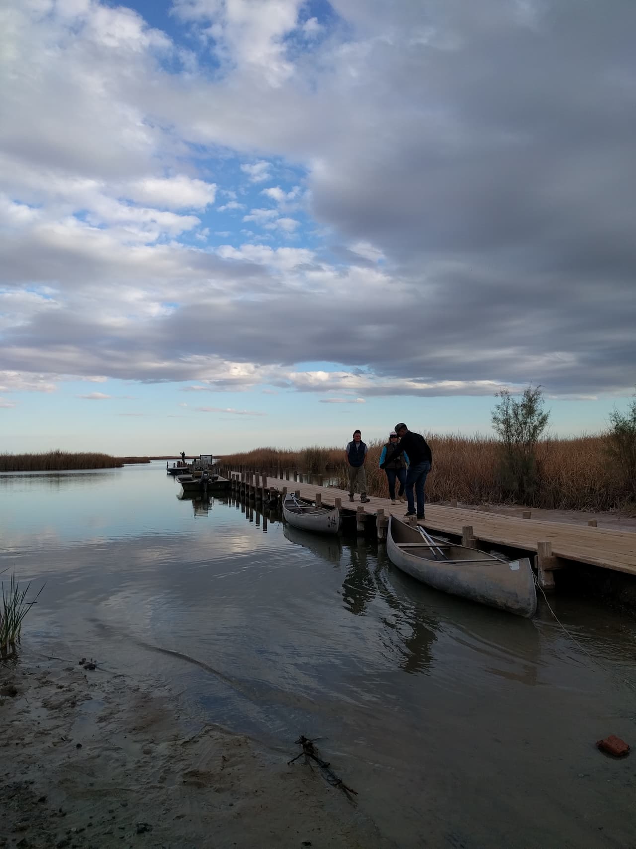 En la década de los 70s, Estados Unidos suministraba o descartaba el agua que era muy salada para cultivar a través de la frontera internacional. Sin embargo, como ocurrió una enmienda del tratado de manejo de agua de EEUU que le exigía reducir la salinidad de sus entregas de agua, esa escorrentía se desvió a la llanura seca del río Colorado. Y así nació La Ciénega de Santa Clara.