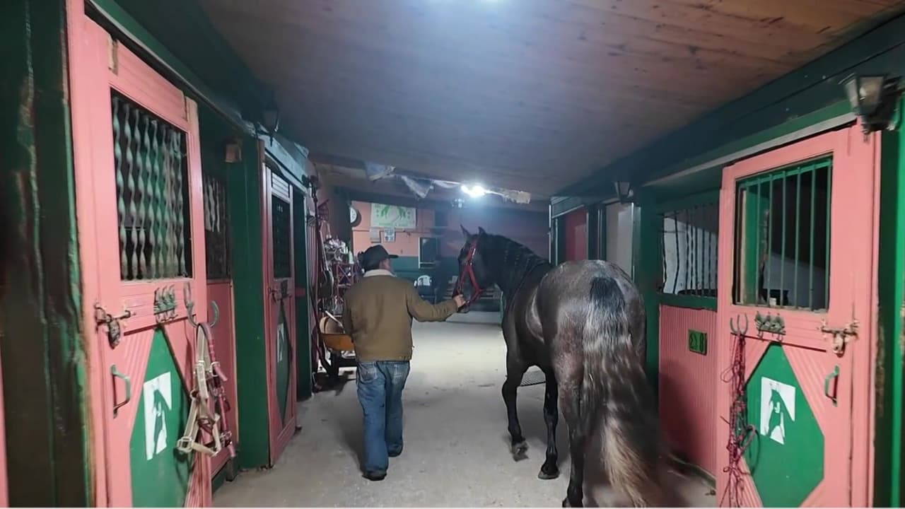 Con tres horas de trayecto por delante, personas de todas las edades se prepararon desde la madrugada: ensillaron sus caballos, se abrigaron contra el frío y se organizaron para iniciar la ruta.
<br>
<br>“Preparándonos para ir a ver a la virgencita. 
<b>Yo tengo viniendo desde que empezó, unos 15 años yo creo”,</b> comentó el jinete Moisés Jaime.