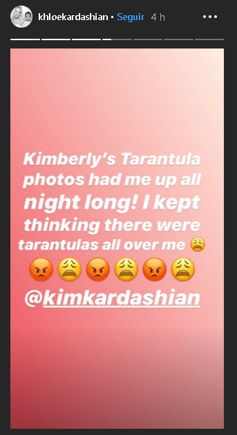 "¡Las fotos de la tarántula de Kim me tuvieron despierta toda la noche! No dejaba de pensar que había tarántulas sobre mí", escribió Khloé en una historia de
<b><a href="https://www.instagram.com/khloekardashian/?hl=es-la" target="_blank">Instagram</a>. </b>
